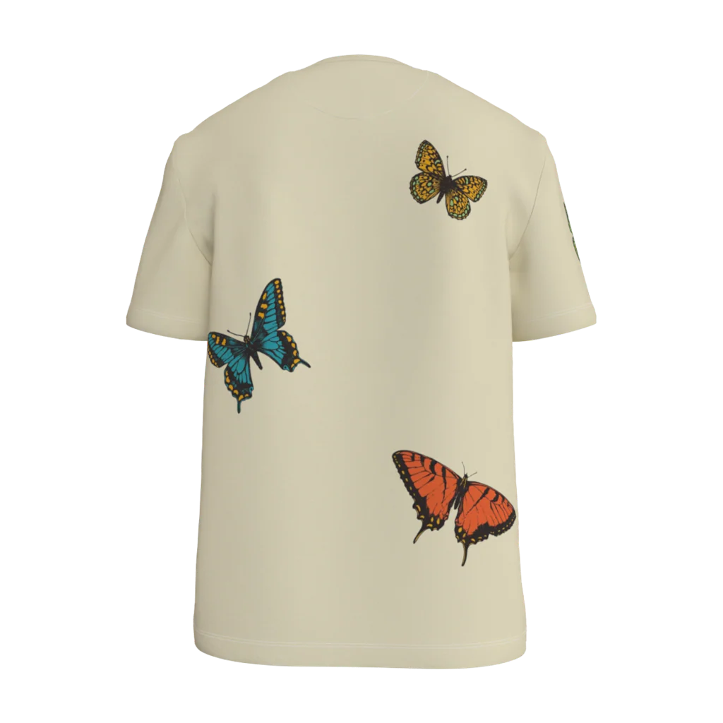 Metamorphosis